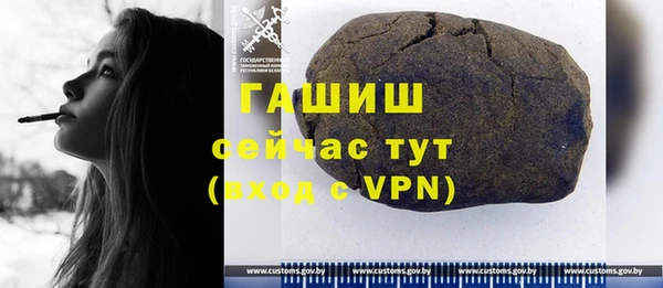 СК Алексин