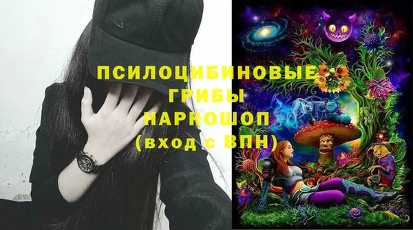 СК Алексин