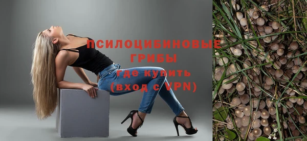 СК Алексин