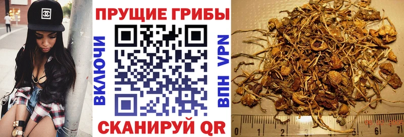 Псилоцибиновые грибы мицелий  Ядрин 